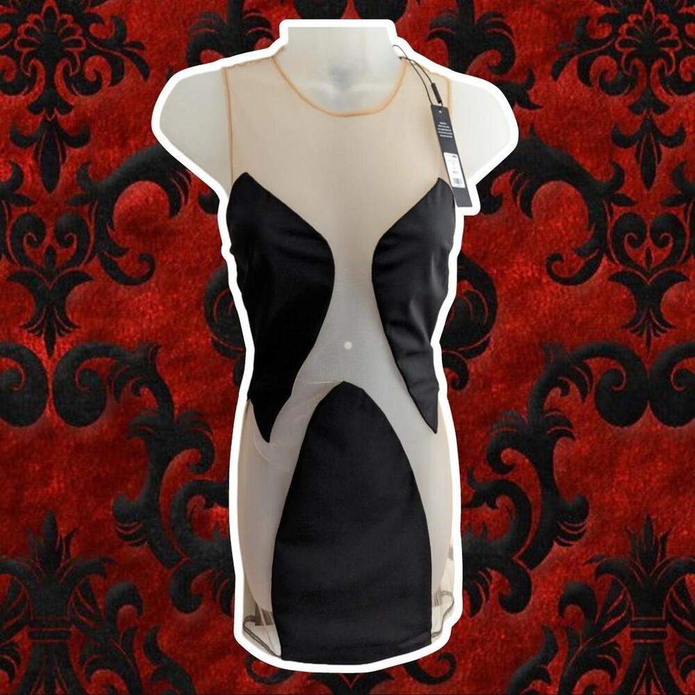 Mesh dress new